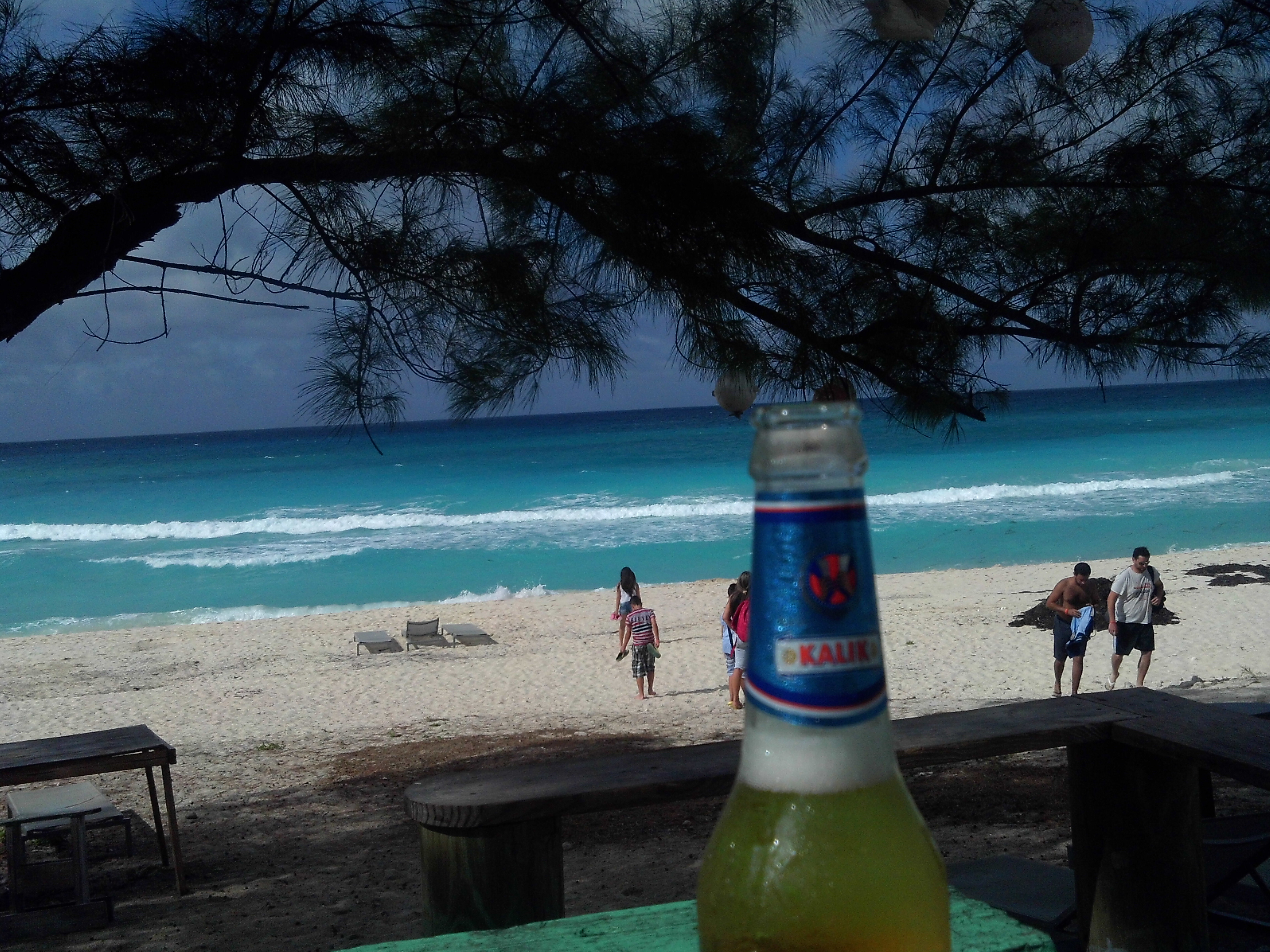 Feeling Anthony Bourdain-ish